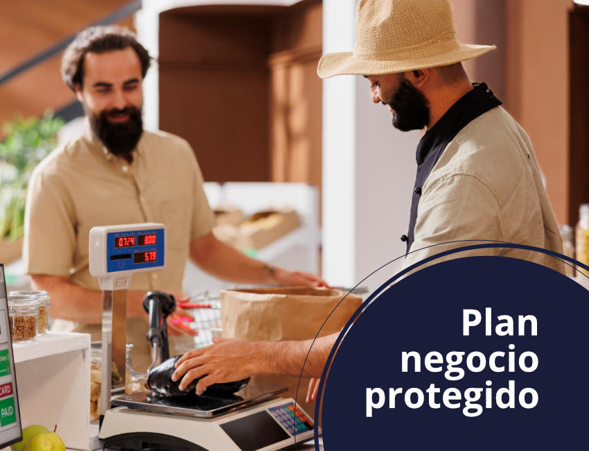 Plan Negocio Protegido